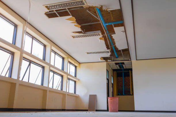 Best Flood restoration services  in Los Angeles, CA