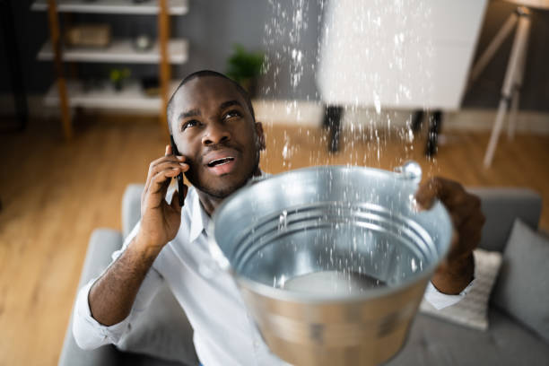 Best Professional water damage repair  in Los Angeles, CA