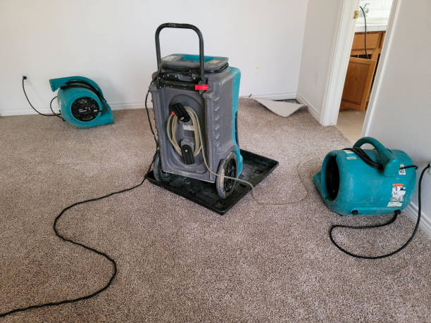 Best Sewage cleanup and water damage restoration  in Los Angeles, CA