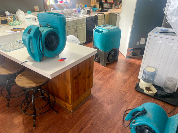 Best Water damage restoration specialists  in Los Angeles, CA