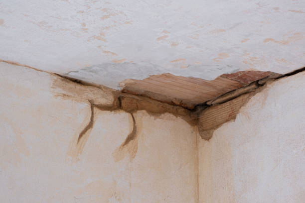 Best Water damage cleanup near me  in Los Angeles, CA