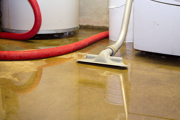 Best Fire Damage Restoration  in Los Angeles, CA