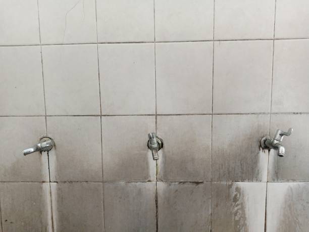 Best Basement water damage restoration  in Los Angeles, CA