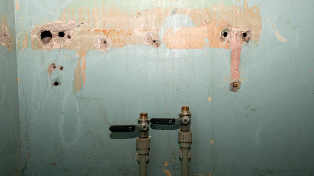 Best Ceiling water damage repair  in Los Angeles, CA