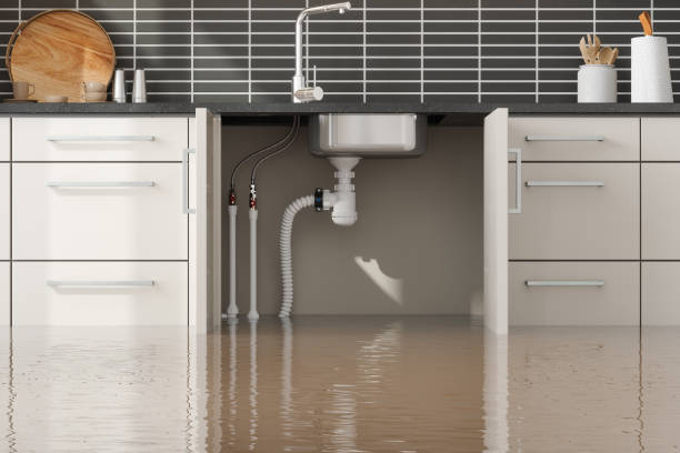 Trusted Los Angeles, CA Water damage restoration Experts